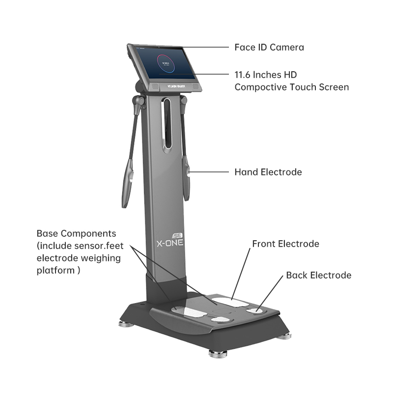 X ONE SE Body Massager Full Bo – Nutrition Fitness Training recenzja i cena