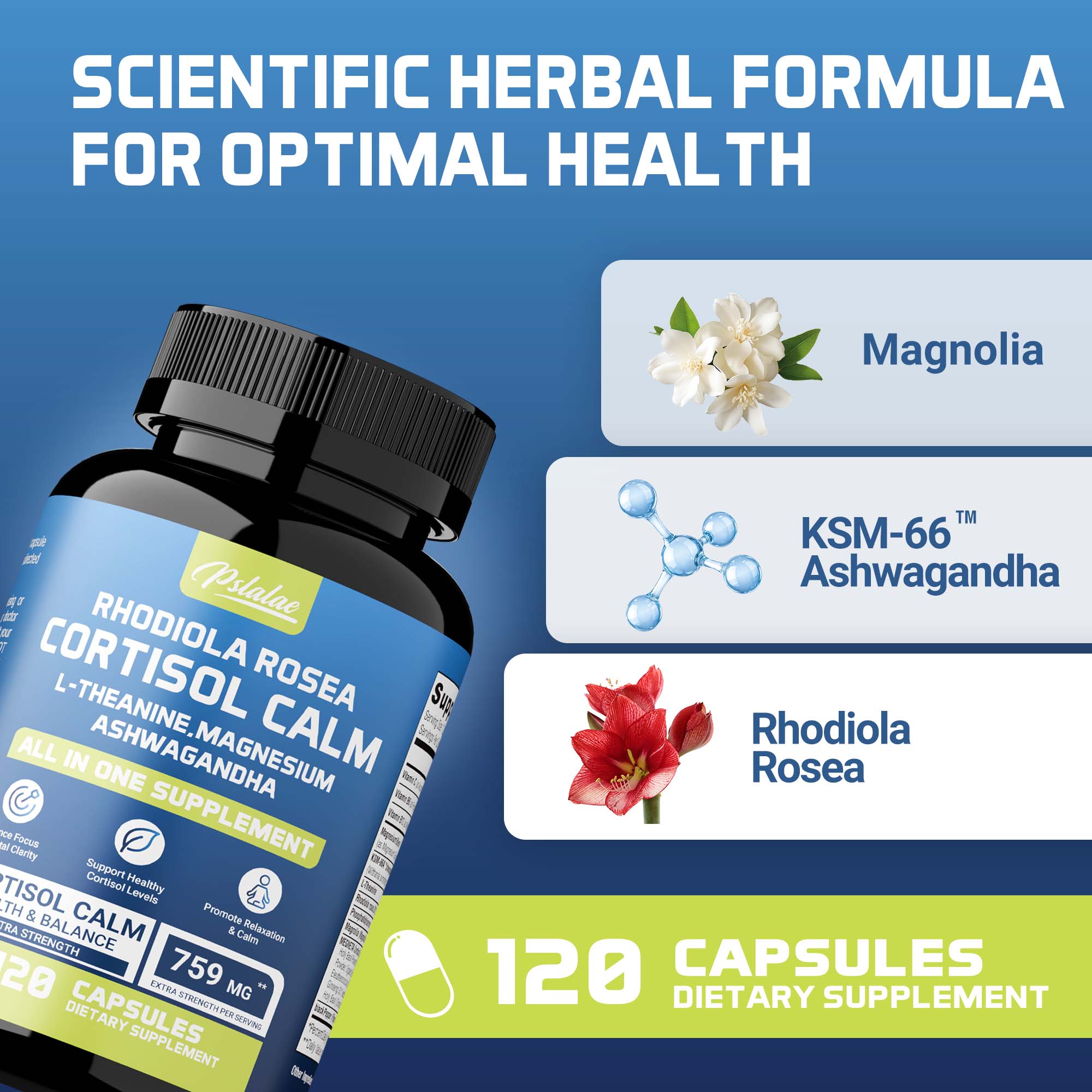Cortisol Calm - L-Theanine Mag – Garcinia Cambogia Extract recenzja i cena
