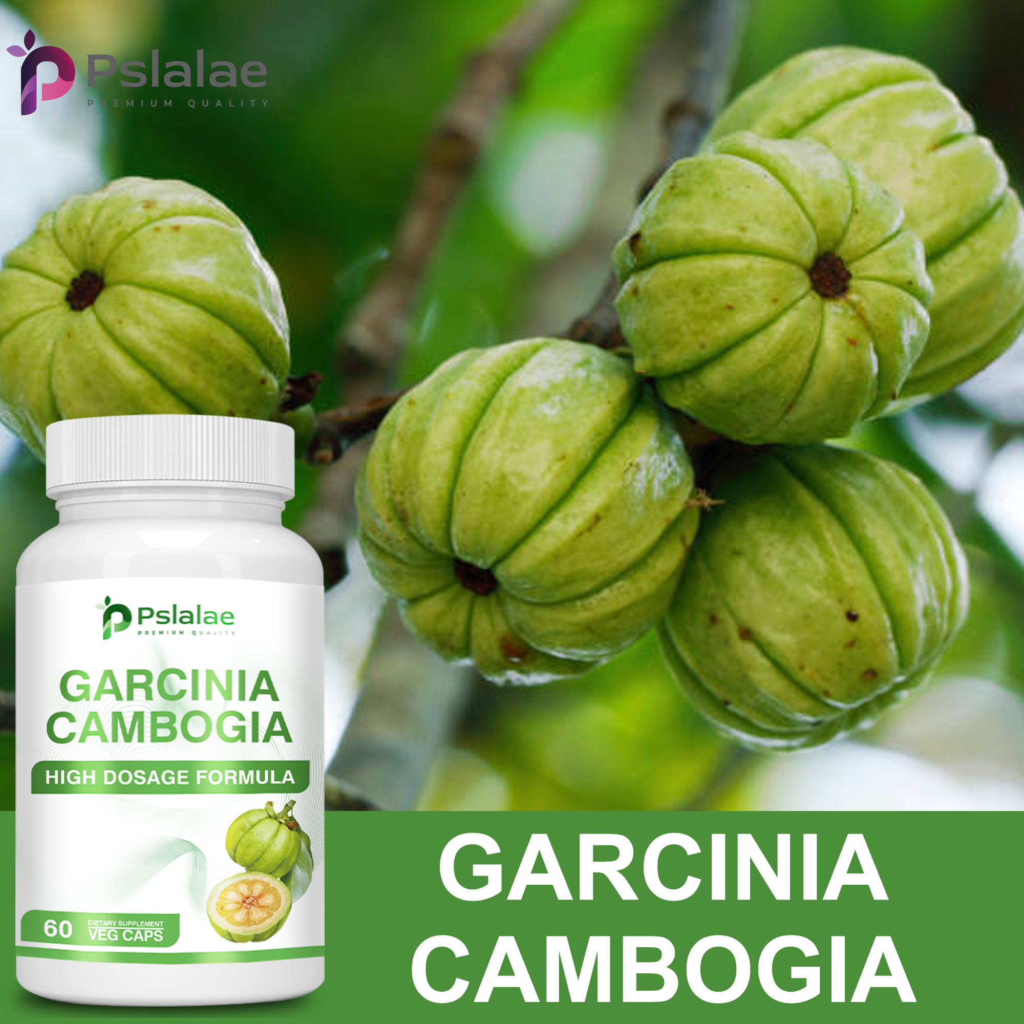 Garcinia Cambogia Extract - Su – Garcinia Cambogia Extract recenzja i cena